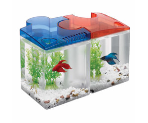 Aqueon top betta treat