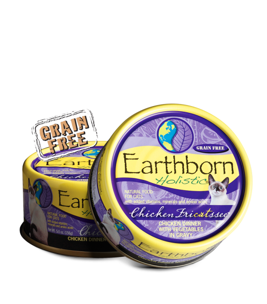 Earthborn Chicken Fricatssee Cat Can 5.5 oz