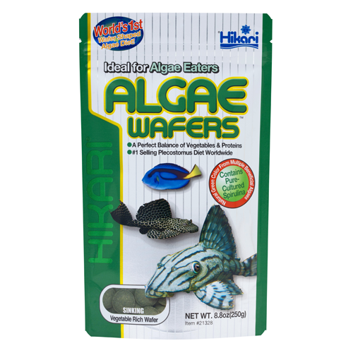 Hikari TROP.ALGAE WAFER 82GM