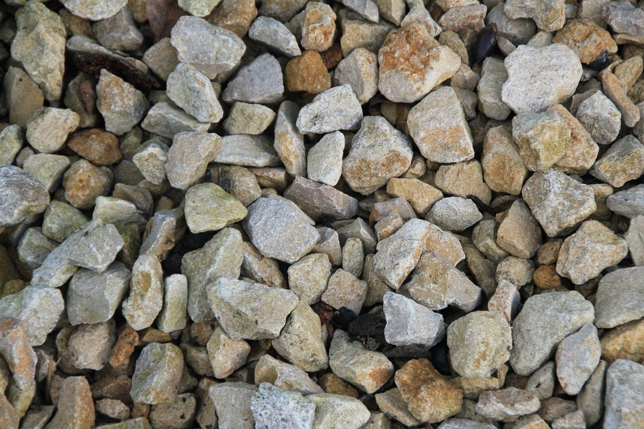 Dig in and Learn All About Gravel and Substrate in your Aquarium