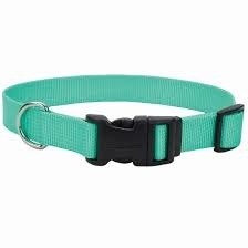 Coastal Pet Coastal Adjustable Dog Collar Teal 3/8x 8-12"