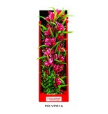 Aquatop AquaTop Vibrant Passion Rose Plant 16"