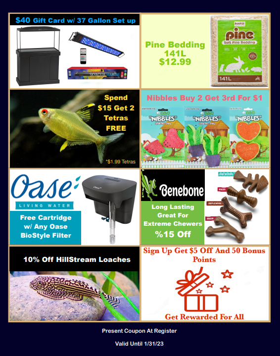 Page 2 of January offers