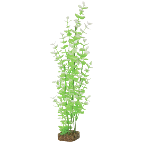 Tetra Tetra Glo Plant  Green / White Lg