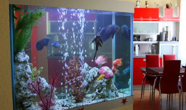 Do-It-Yourself vs. Professional Aquarium Maintenance - Aqua Custom Fish  Tanks