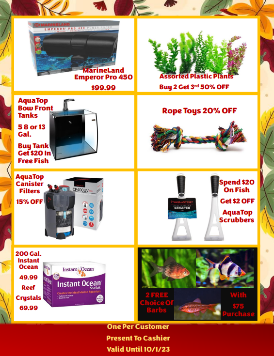 Page 2 of September offers