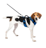 Pet Safe Pet Safe Easy Sport Harness Lg Bluepet