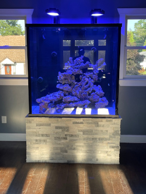 fish tank image