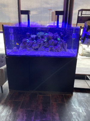 fish tank image