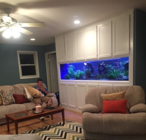 fish tank image