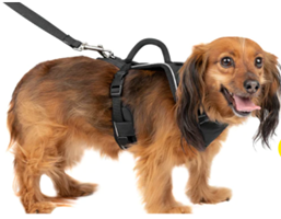 Pet Safe Pet safe easy sport harness lg black