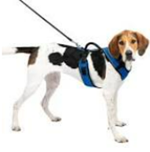 Pet Safe Per Safe easy Sport harness med blue