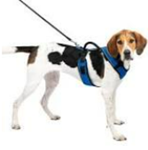 Pet Safe Pet Safe Easy Sport small blue