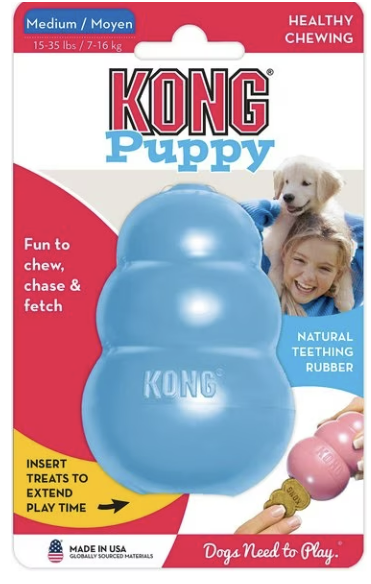Kong Kong - Puppy - Assorted Colors - Medium