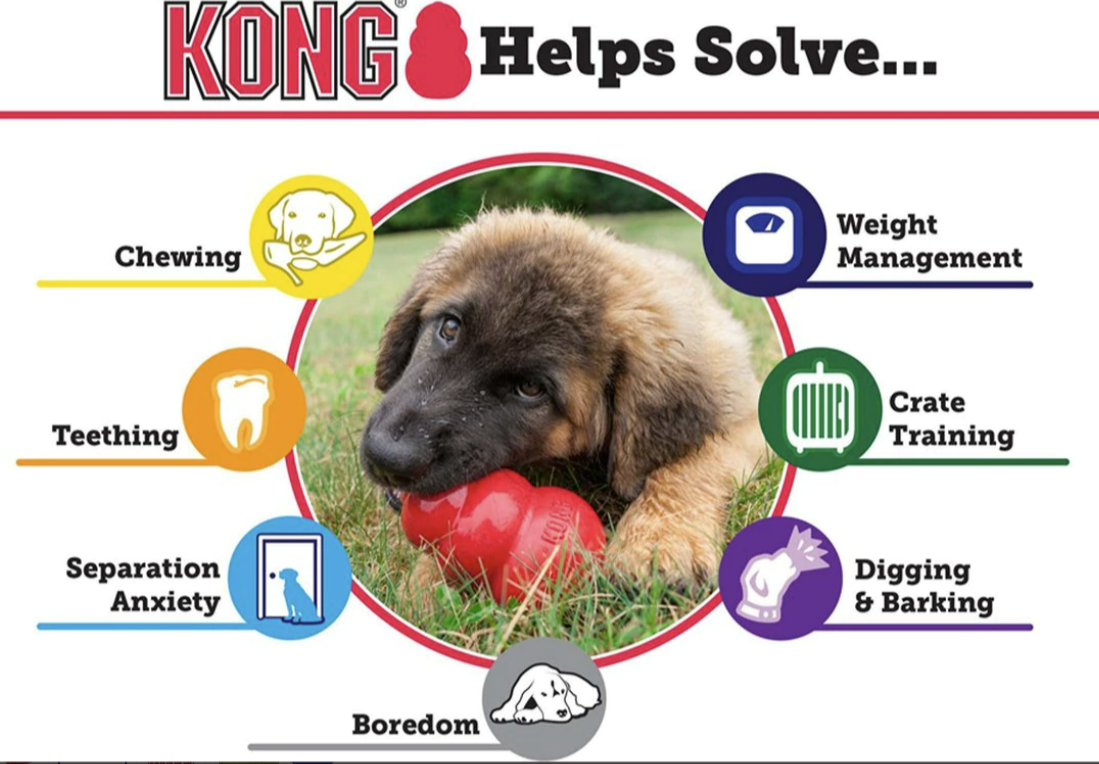 Kong Kong Classic Dog Toy, Medium