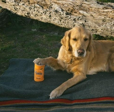 ZippyPaws ZippyPaws - Squeakie Can, Stuffing Squeaker Plush Beverage Dog Toy - Orange Fetcha