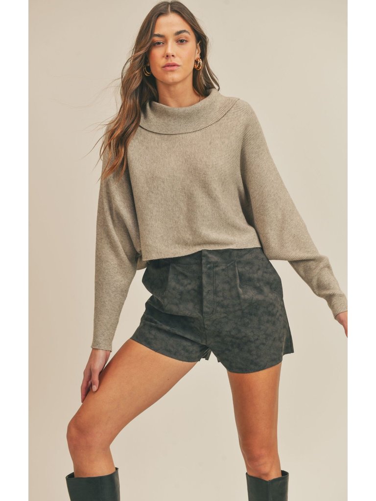 Sage The Label Taupe Turtleneck Knit