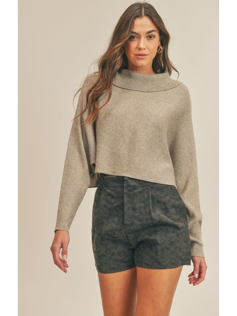 Sage The Label Taupe Turtleneck Knit