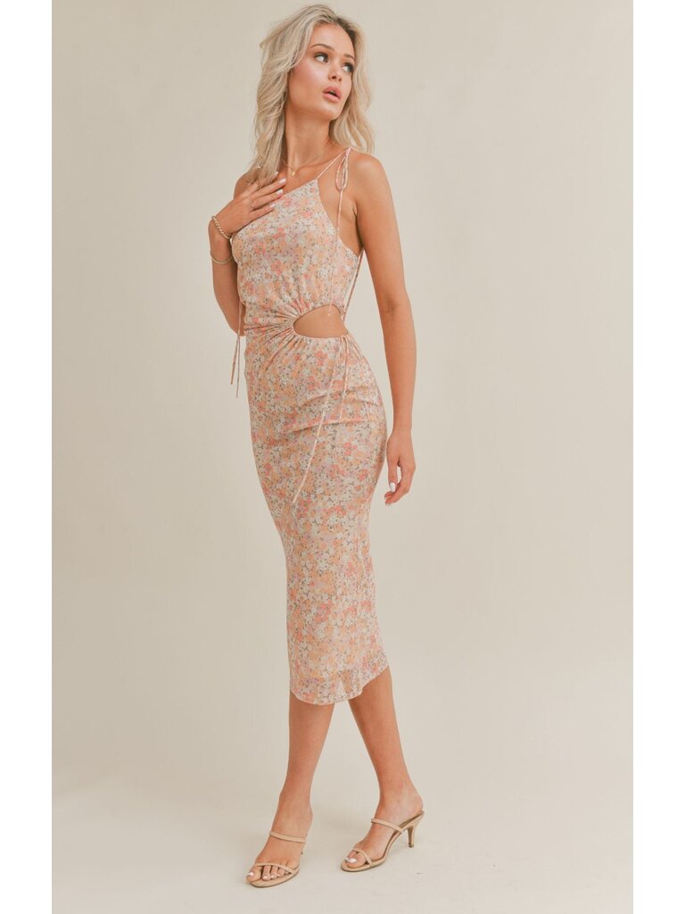 Bec and bridge sweet pea asym dress hotsell