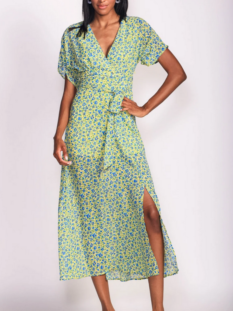 Pink Martini Floral Pop Dress