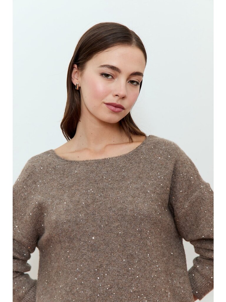 Deluc Taupe Sparkle Sweater