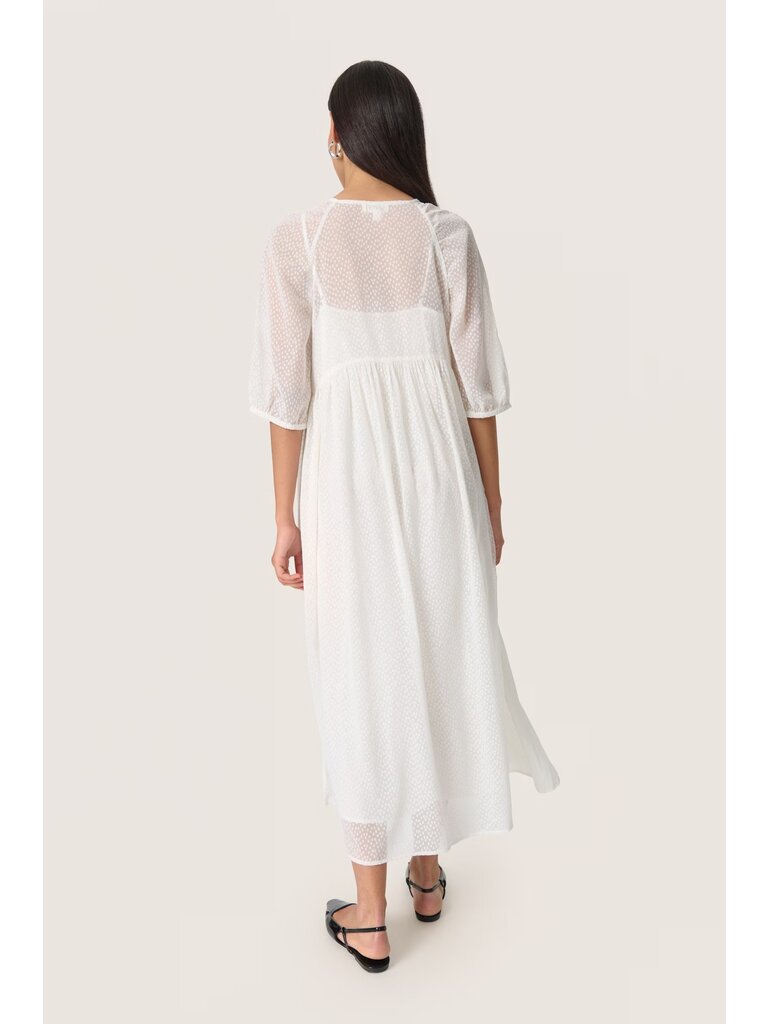 Soaked In Luxury Swiss Dot Midi Dress