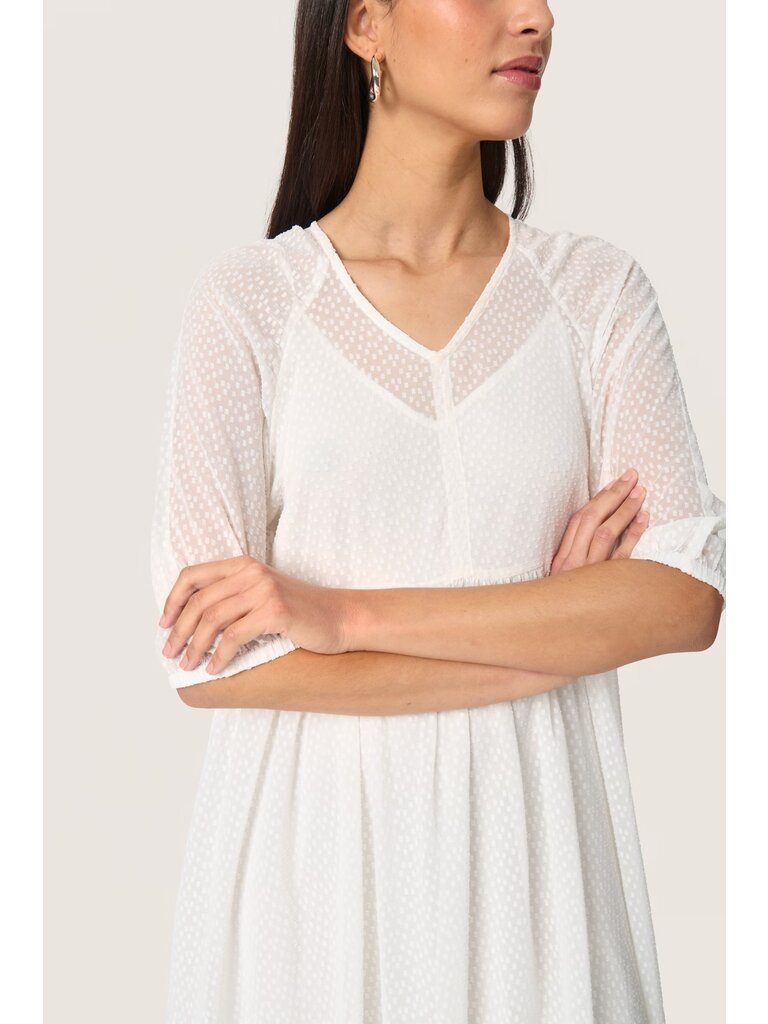 Soaked In Luxury Swiss Dot Midi Dress