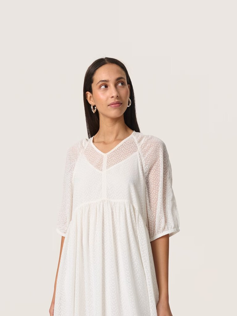 Soaked In Luxury Swiss Dot Midi Dress