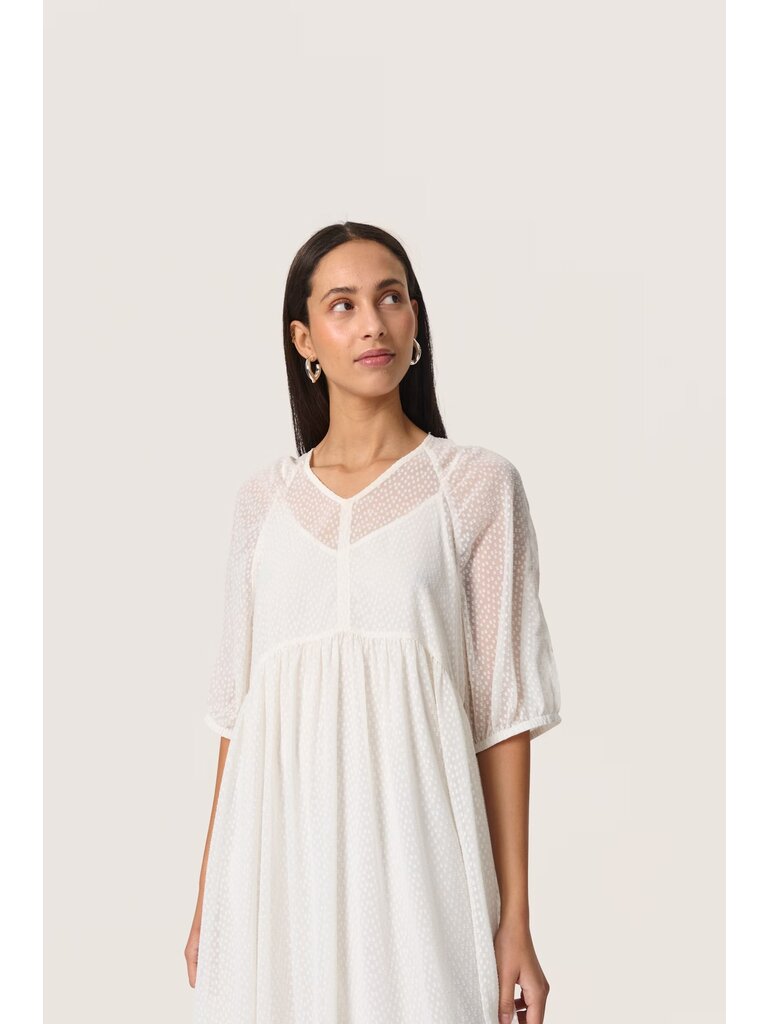 Soaked In Luxury Swiss Dot Midi Dress