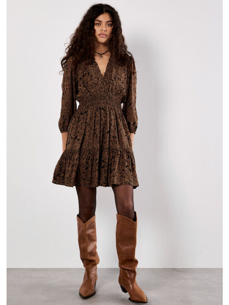 Apricot Paisley Brown Mini