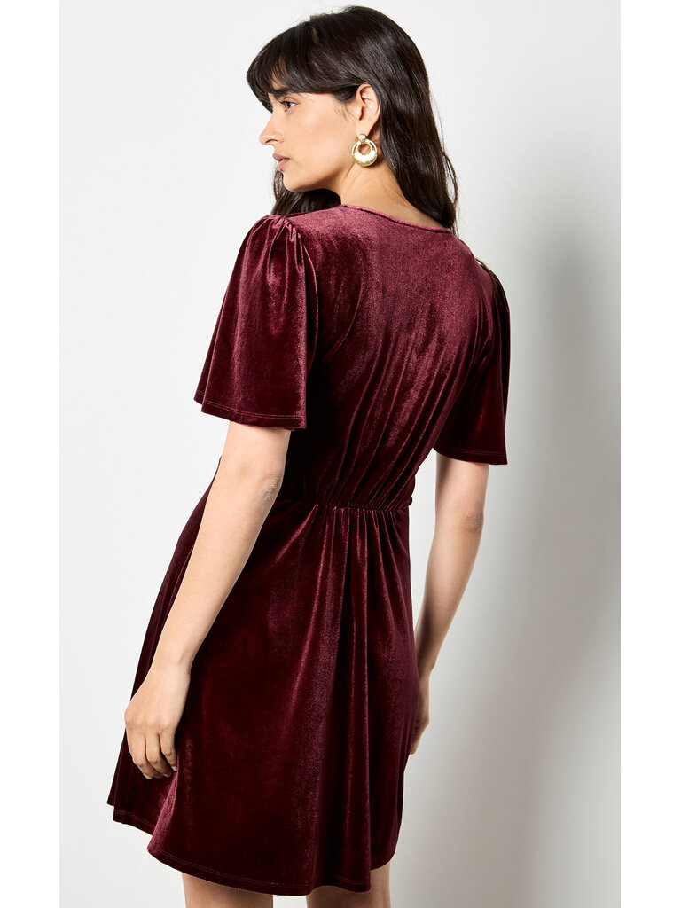 Apricot Velvet Wine Empire Mini