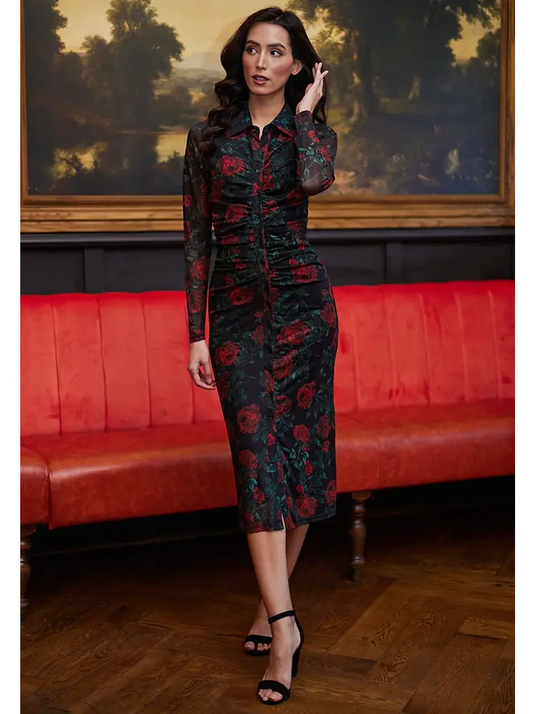 Angel Eyes Rose Mesh Dress