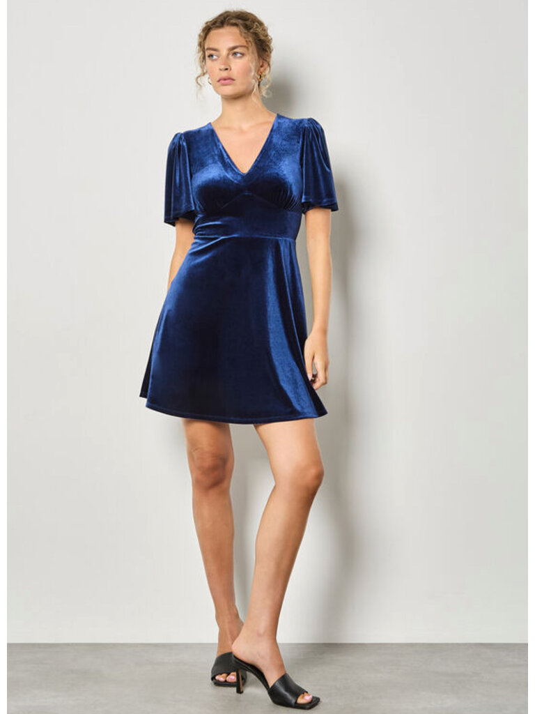 Apricot Velvet Blue Mini