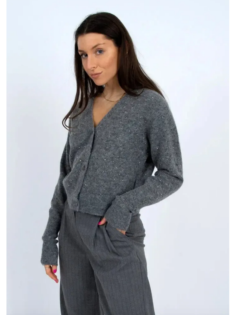 RD Style Grey Glitter Cardigan
