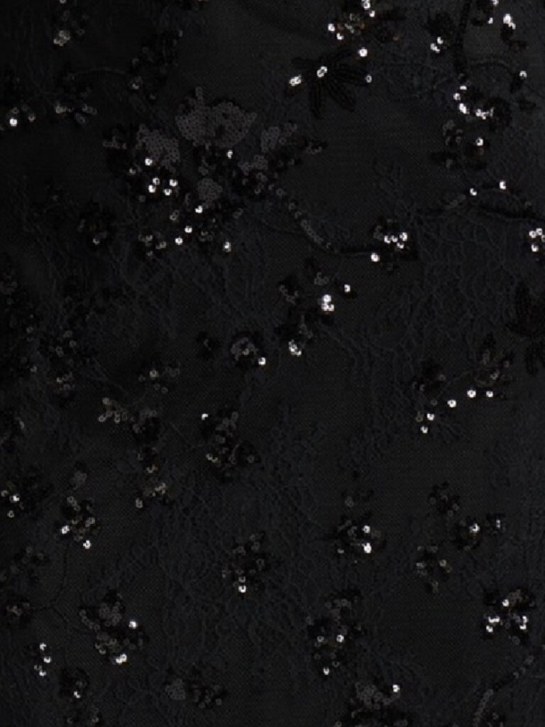 Lucy Paris Lace & Sequin Skirt