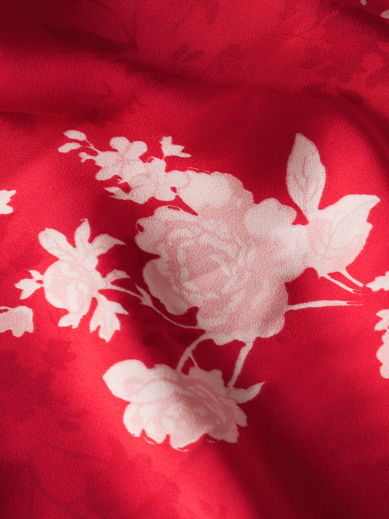 Z Supply Red & Pink Floral Maxi Dress