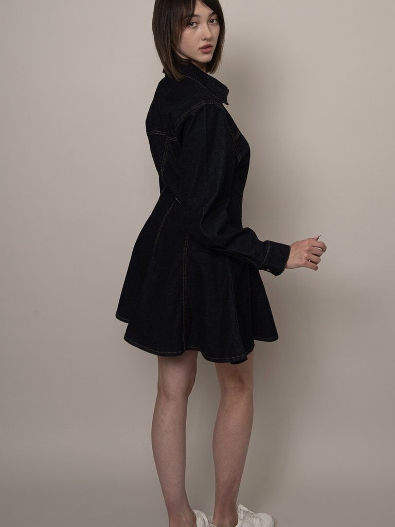 RD Style Dark Denim Button Dress