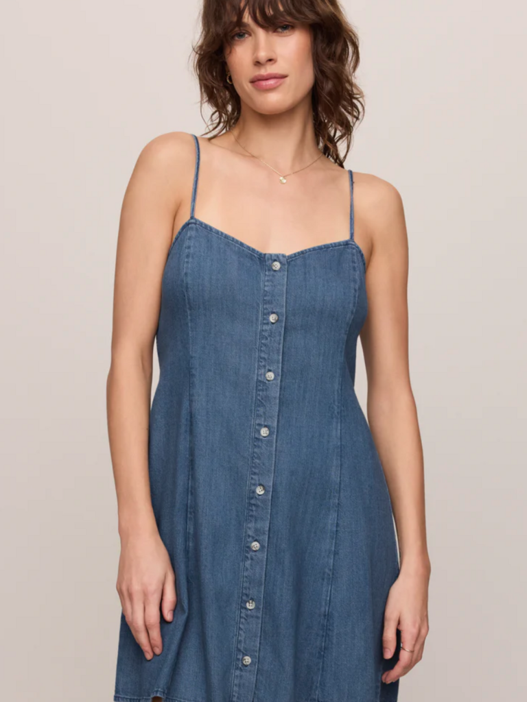 Z Supply Denim Button Mini