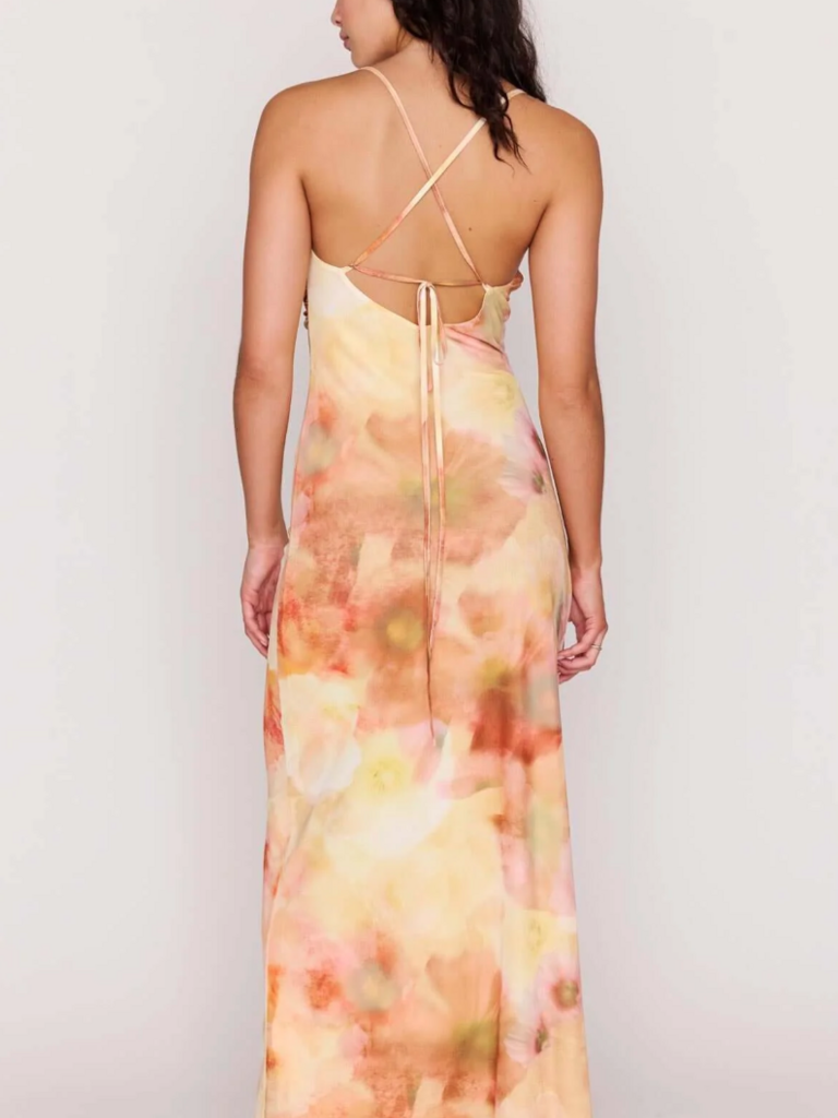 Mink Pink Sunset Mesh Maxi Dress