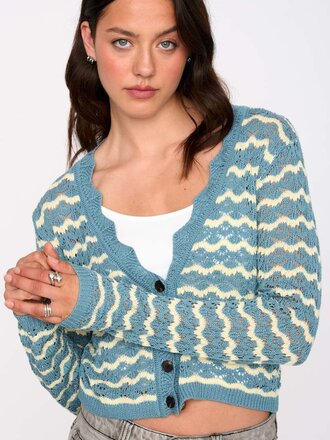 24 Colours Blue Yellow Cardi