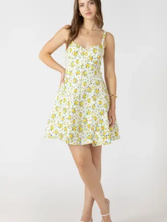 Dex Blue & Yellow Tank Mini