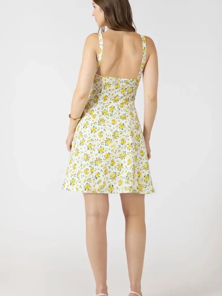 Dex Blue & Yellow Tank Mini
