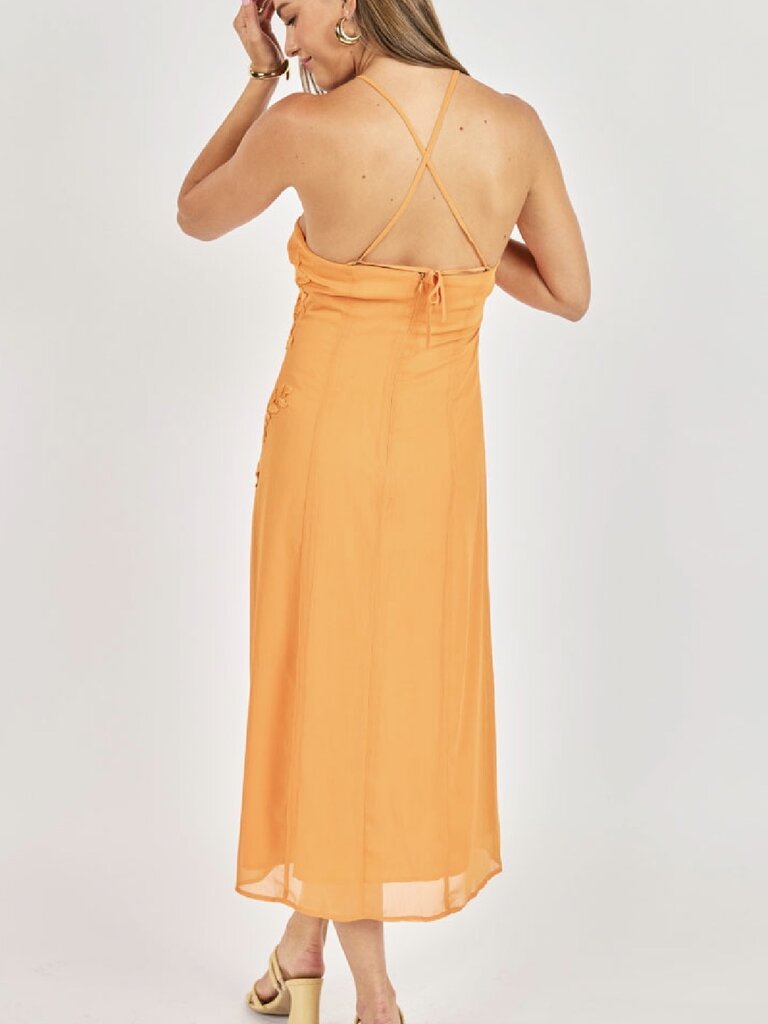 Deluc Applique Orange Dress