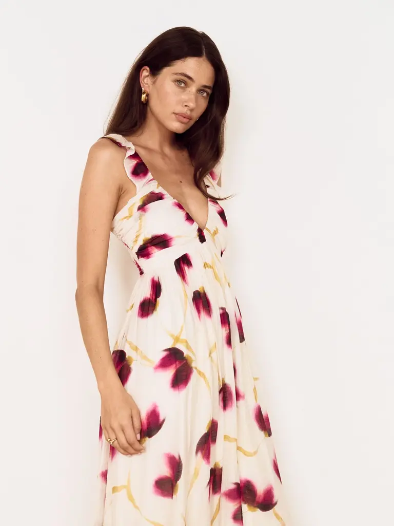 Mink Pink Blur Floral Maxi