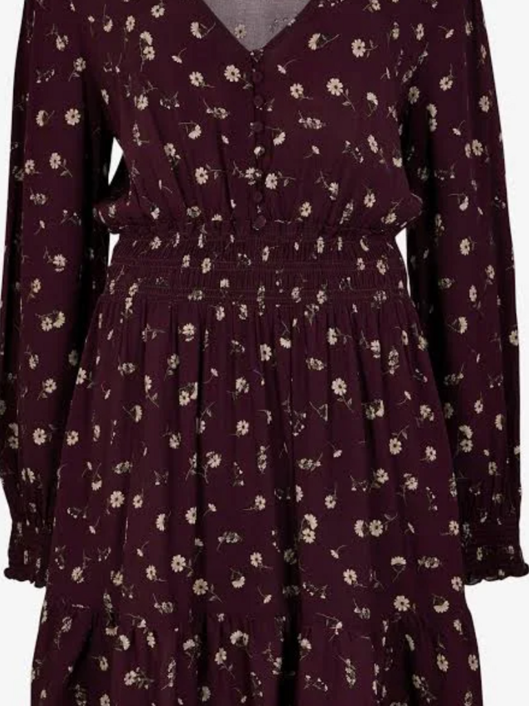 Apricot Burgundy Fall Mini