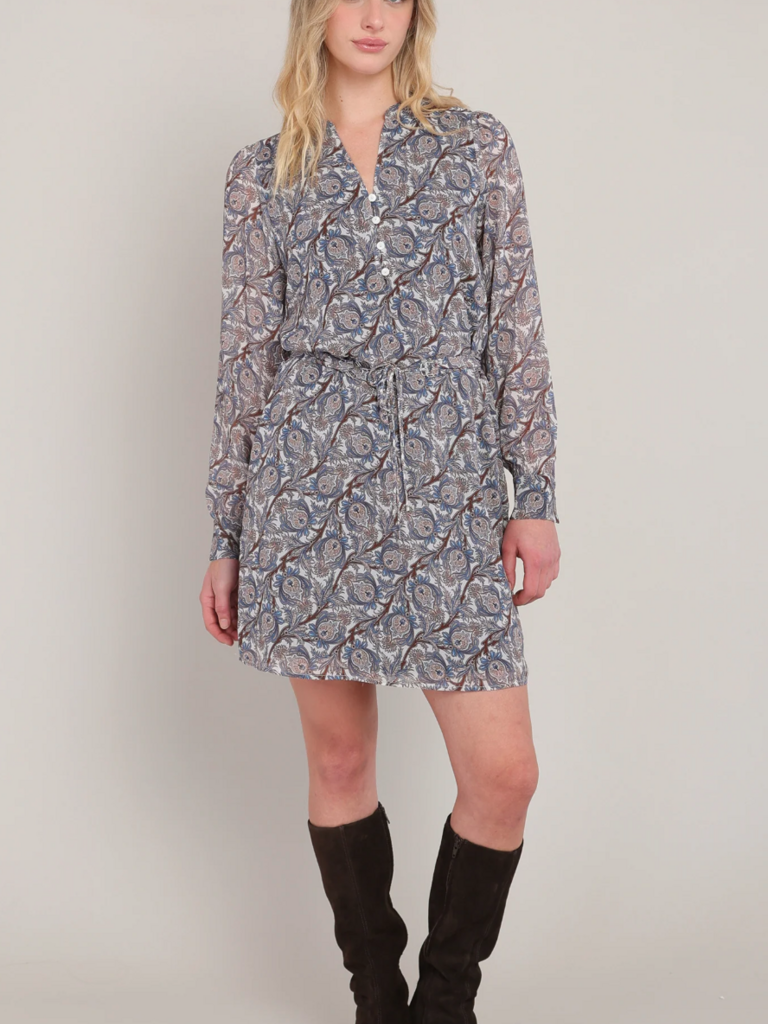 Dex Paisley Blue Mini
