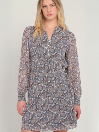 Dex Paisley Blue Mini