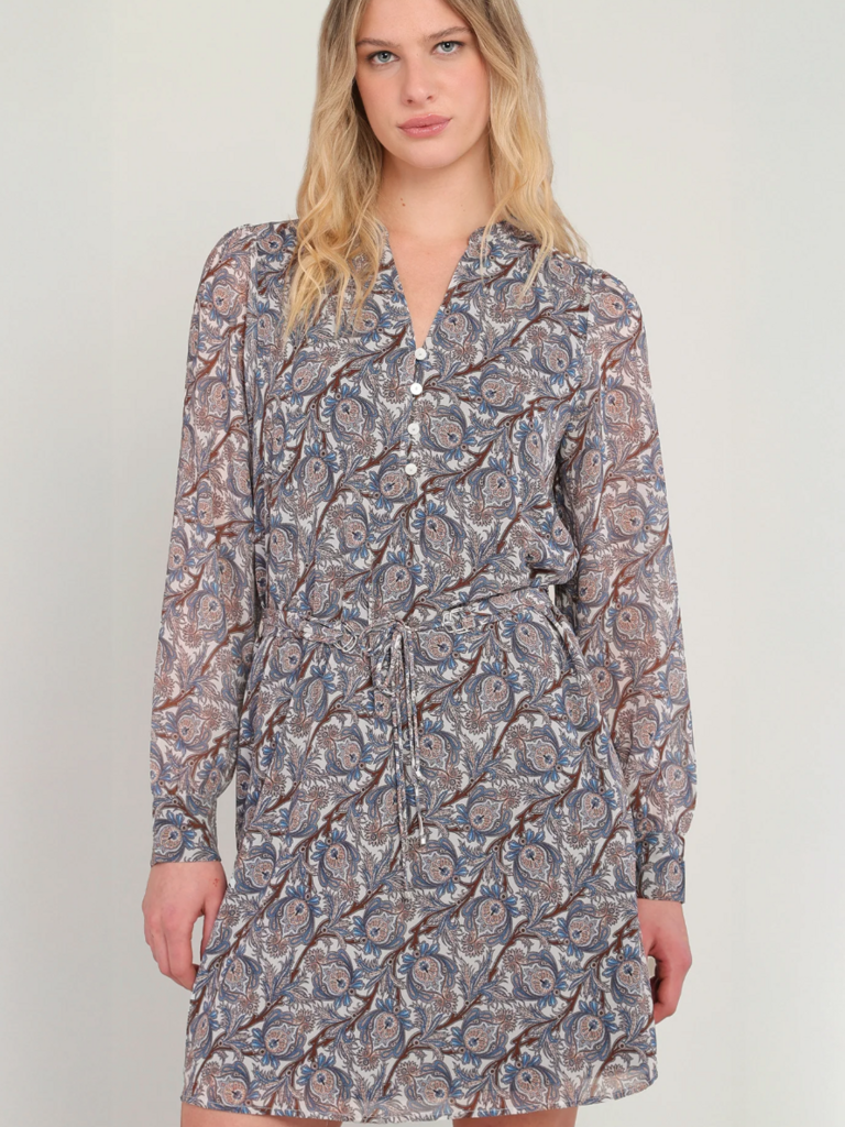 Dex Paisley Blue Mini