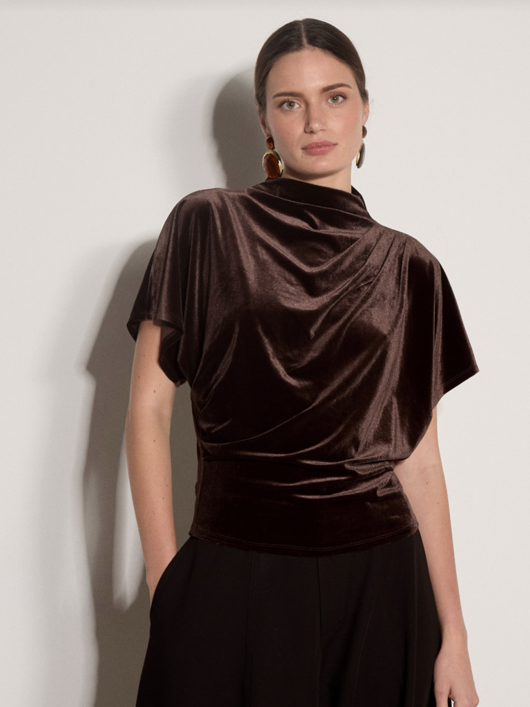 Apricot Brown Velvet Top