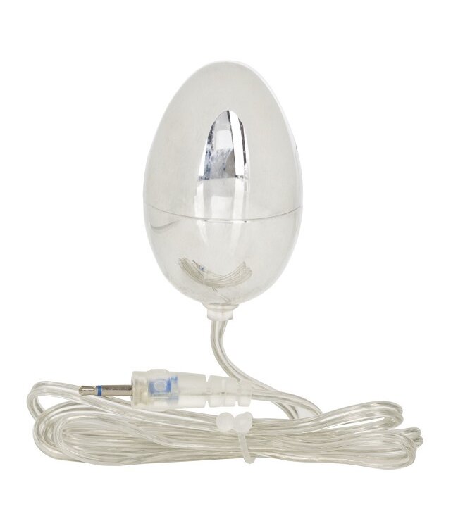 CalExotics Sterling Collection - Silver Egg